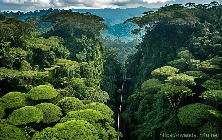 르완다의 주요 공원 - **Prompt 2: A vibrant safari scene at sunrise in Akagera National Park.**
    "An early morning safa...